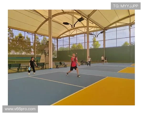 多米体育网址娱乐平台支持多种体育项目，满足不同用户的多样化需求