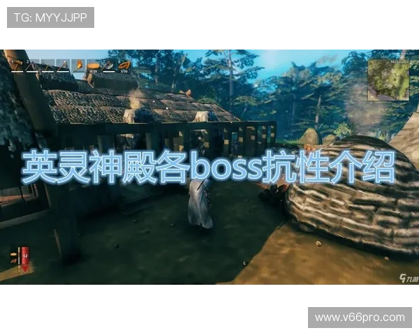 神殿在线登录入口：官方推荐的登录流程详解与注意事项