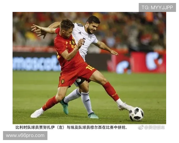 世界杯比利时埃及现场观赛注意事项:门票购买、入场流程及安全保障措施 世界杯比利时埃及现场观赛注意事项:门票购买、入场流程及安全保障措施